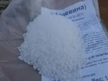 инструкции прилагане