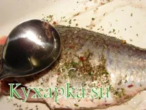 домашен карася