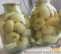 ястия зимата