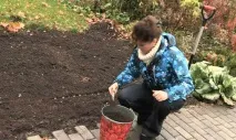 преди засадите