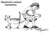 котів