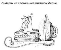 кодекс