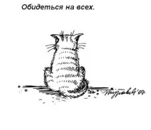 котів