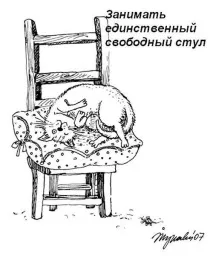 котів