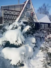 вили рожден