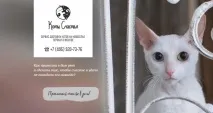 щастие балетни