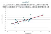 Годування корів до та після отелення для кращого відтворення корів
