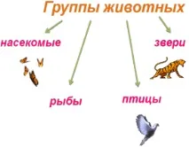 резюме резюме