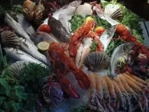 големи риба