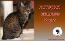 кузя кузя