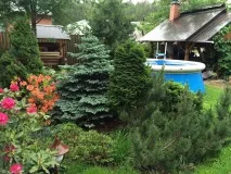 Ландшафтний дизайн (проекти) дачної ділянки, заміського будинку, саду та городу в Єкатеринбурзі ландшафтний