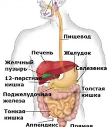 сочи болест