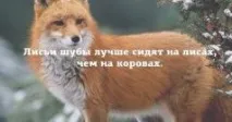 знаци знаци
