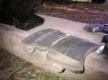 задніх