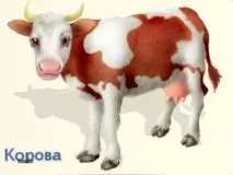 Заняття з розвитку мови мови