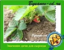 даването суровоядец
