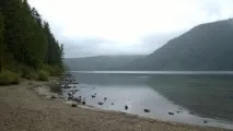 Лов сома влітку чи варто рибалити в цей період року сома