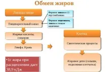 ефект върху отслабване