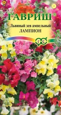 Левовий зів 1 левового