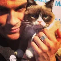 котки Инна Мурашева