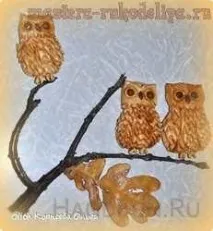 солоного