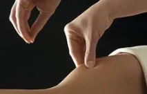 снегири
