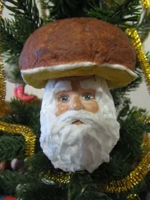 шведова клас