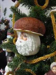 памучни клас