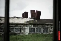 Молоко – більше, м’яса – менше, ОГЛЯД, Інтернет-журнал міста Килимів більше