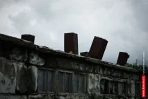 Молоко – більше, м’яса – менше, ОГЛЯД, Інтернет-журнал міста Килимів молоко