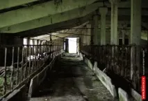 Молоко – більше, м’яса – менше, ОГЛЯД, Інтернет-журнал міста Килимів огляд