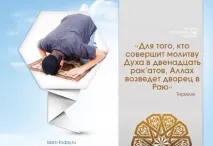 Чи може вважатися сподвижником той, хто бачив пророка (ﷺ) уві сні вважатися