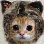 лаят декара