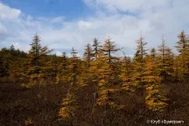 На якихось по озеру Вавайське маршруту