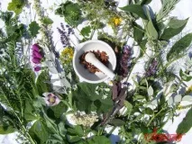 Народні способи лікування васкуліту лікування