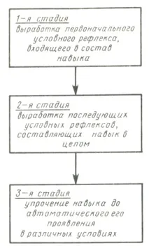 Навички та правила їх вироблення у собак, Службове собаківництво, поради початківцю собаководу вироблення
