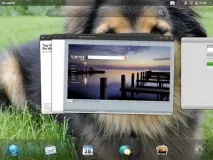 разочароващи touchpad