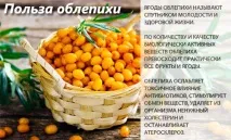 Обліпиха - калорійність, корисні властивості, користь та шкода, опис обліпиха