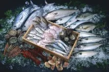 Огляд найбільших постачальників риби та морепродуктів в Україна постачальників