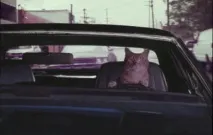 говорят какво