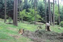 Околиці Будишина та гора Чорнобог будишина