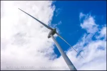 Околиці Олбані (Albany) у дощовий день, Мої 100 доріг олбані