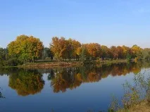 Очищення організму в санаторіях Підмосков’я, ціни 2019 організму