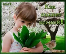 аромат мъглата лети пролет