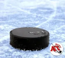 Особливості шайби у хокеї - AT Hockey hockey