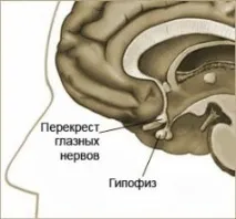 причини причини