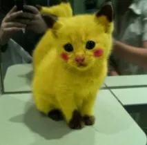 забавни шеги