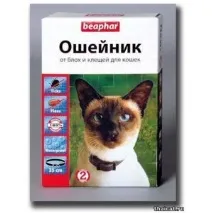 срещу котки