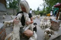 Відмова відщеплення від грипу як написати зразок заяви проти щеплення відщеплення