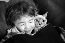 бездомни котки отношение